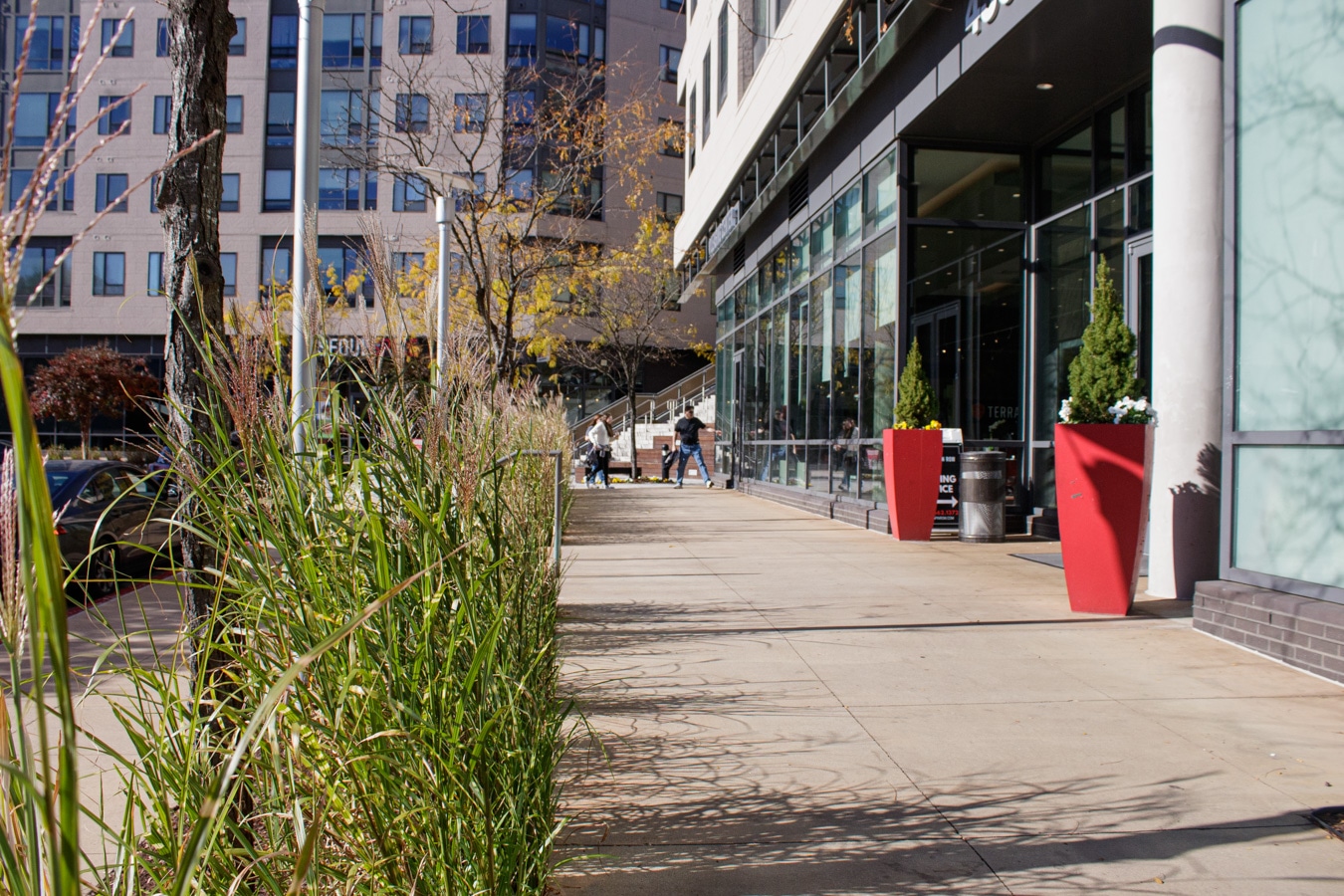 Terrapin Row image 6